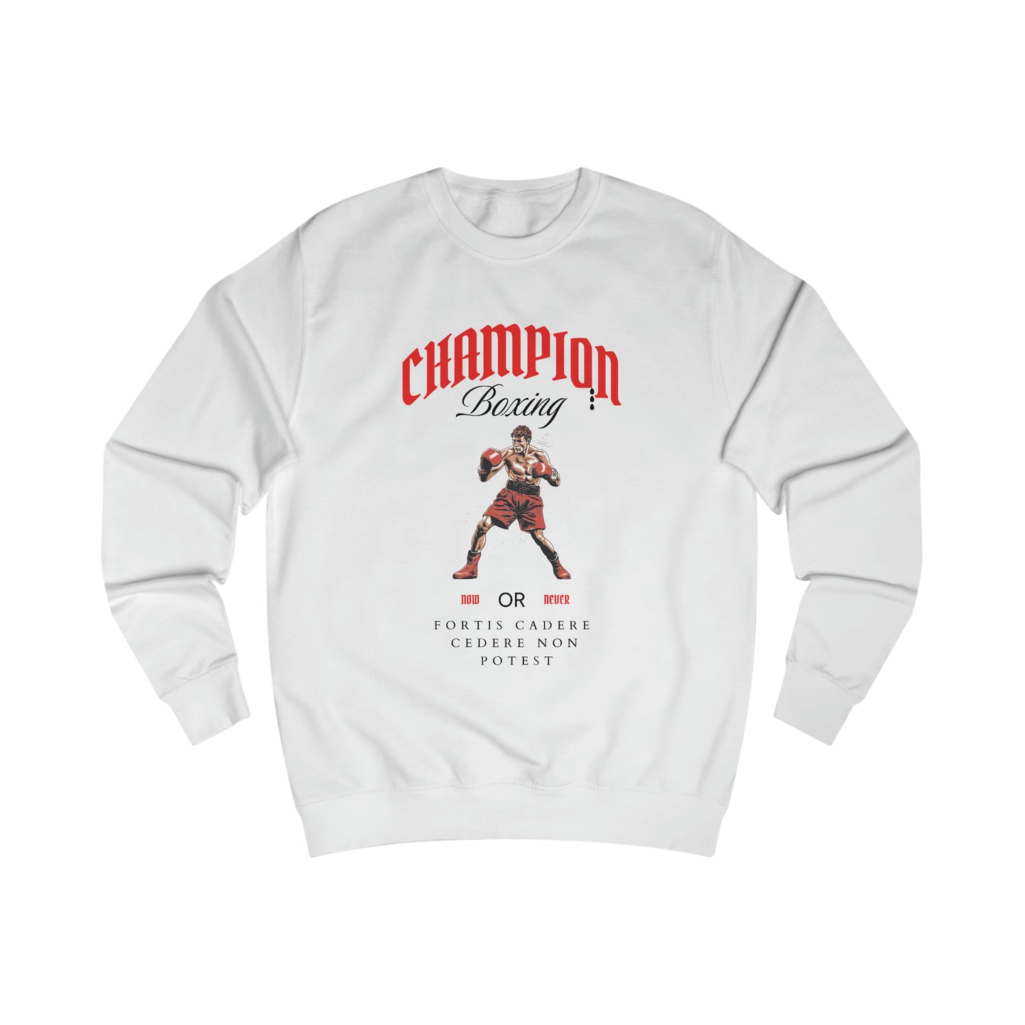 Champion Sweatshirt